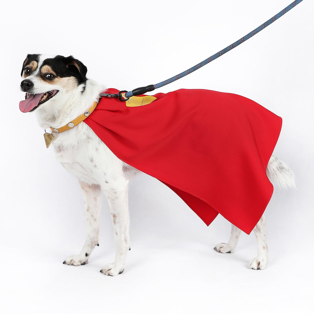 League of Super-Pets Superman Legacy Krypto Dog Collar Cloak