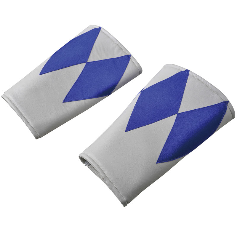 Mighty Morphin Power Rangers Billy Cranston Blue Ranger Costumes